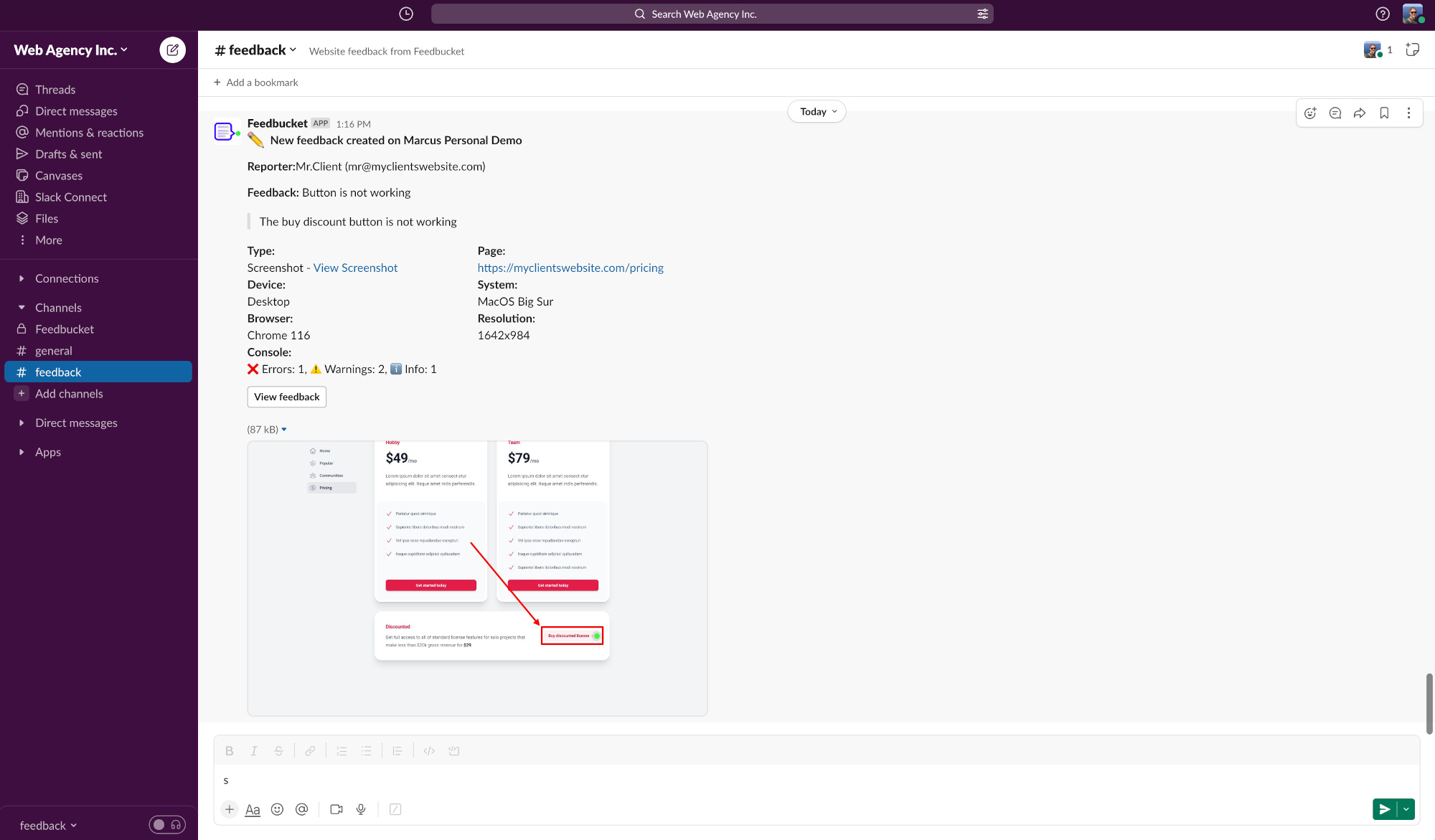 Slack message created from feedbucket with all technical meta data attached.
